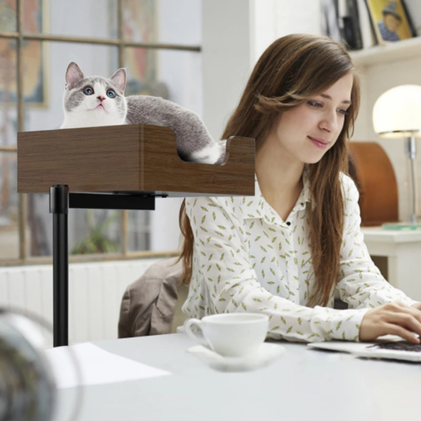 1769372080566 Le Refuge Suspendu en Forme de Cube"