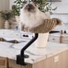 ERGO_PURRCH_-_Woven_with_Black_Arm_82ef886d-3120-47b8-a95e-733f3b852c5d Lit de bureau suspendu pour chat – Confort ergonomique et gain de place