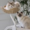 ERGO_PURRCH_-_white-arm-woven Lit de bureau suspendu pour chat – Confort ergonomique et gain de place